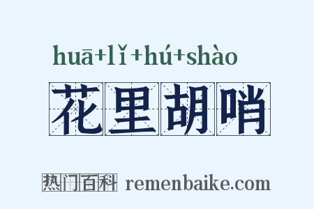 花里胡哨是什么意思的图片